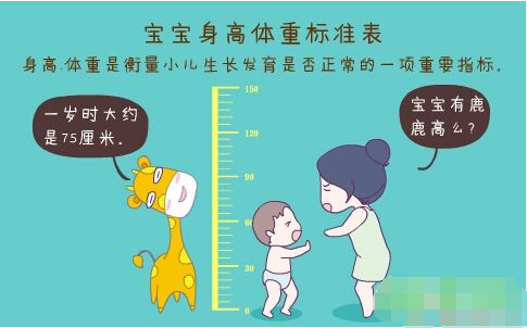 超声波黄色香蕉视频APP网站正确测量方法标准身高体重表 超声波黄色香蕉视频APP网站正确测量方法标准身高体重表